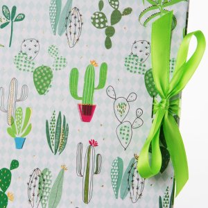Fotolibro con collezione di cactus nascosti a spirale