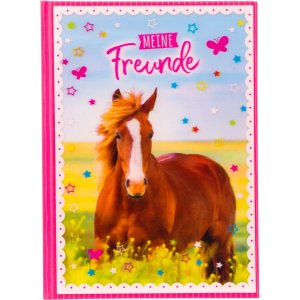 Amici libro a5 Cavallo amore
