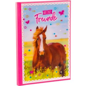 Amici libro a5 Cavallo amore