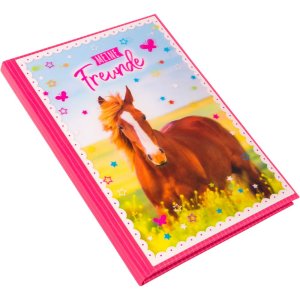 Amici libro a5 Cavallo amore