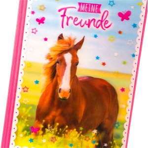 Amici libro a5 Cavallo amore