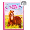 Amici libro a5 Cavallo amore
