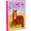Amici libro a5 Cavallo amore