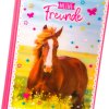 Amici libro a5 Cavallo amore