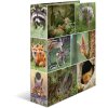 Herma Motif Folder a4 Animali - Animali della foresta