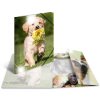 Herma Collezione Cartella Glossy Animali a4 pp Cani