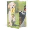 Herma Collezione Cartella Glossy Animali a4 pp Cani