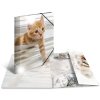 Herma cartella lucida animali a4 pp gatti