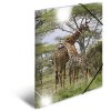 Cartellina Herma Glossy Animals A3 PP Giraffe