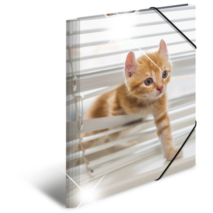 Herma Cartella lucida animali a3 pp gatti