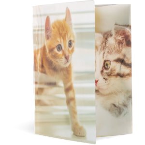 Herma Cartella lucida animali a3 pp gatti