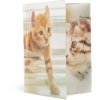 Herma Cartella lucida animali a3 pp gatti