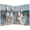 Raccoglitore ad anelli Herma A4 in cartone 4D cavalli