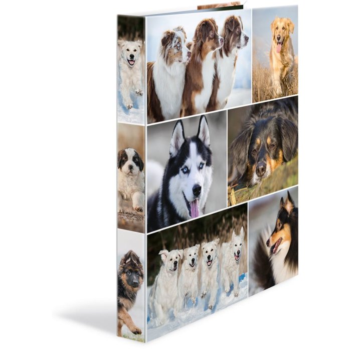 Raccoglitore ad anelli Herma A4 in cartone 2D cani