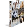 Raccoglitore ad anelli Herma A4 in cartone 2D cani