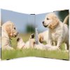 Raccoglitore ad anelli Herma A4 in cartone 2D cani