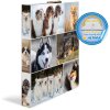 Raccoglitore ad anelli Herma A4 in cartone 2D cani