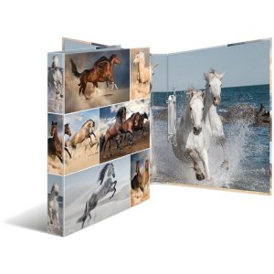 Raccoglitore ad anelli Herma in cartone A4 Cavalli 2D