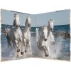Raccoglitore ad anelli Herma in cartone A4 Cavalli 2D