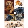 Herma decorazione Sticker decorazione Cani