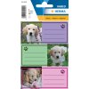 Etichette per cani della scuola Herma VARIO