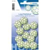 Herma HOME Adesivo luminoso Calcio Mini