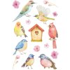 Herma decorazione Sticker Songbirds