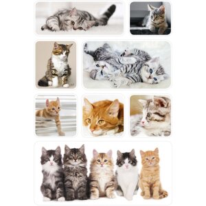 Herma decorazioni Sticker Cat Children