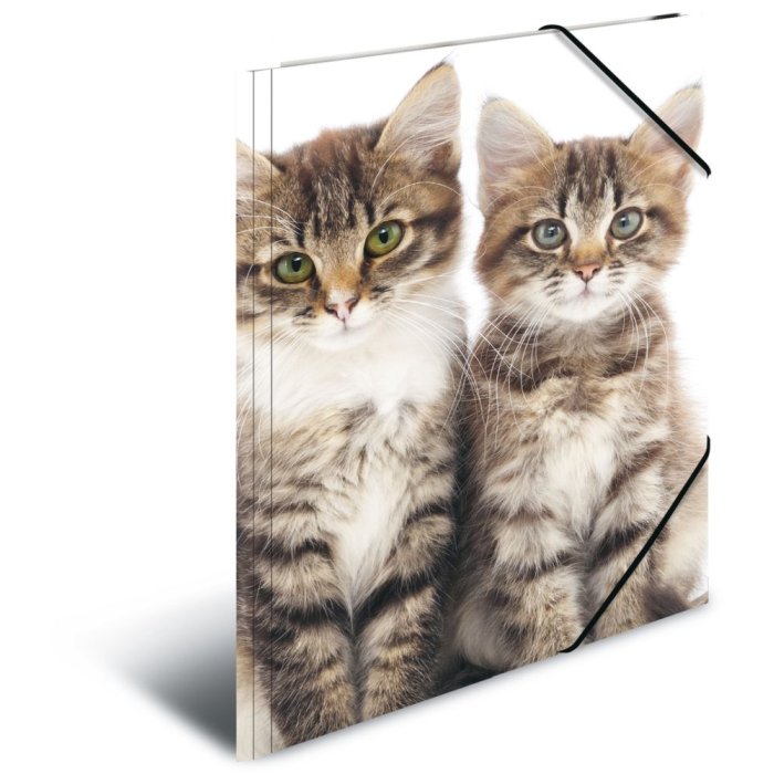 Herma cartella a4 pp - gatti
