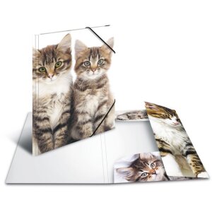 Herma cartella a4 pp - gatti