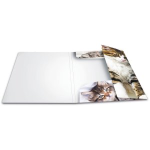 Herma cartella a4 pp - gatti