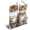 Herma cartella a4 pp - gatti