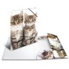 Herma cartella a4 pp - gatti