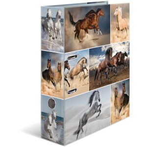 Herma Motif Folder a4 Animali - Cavalli
