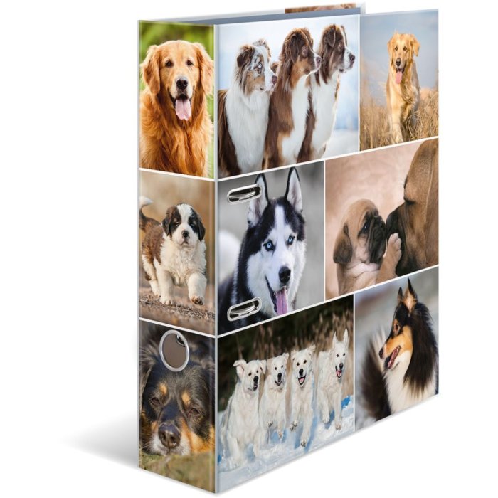 Herma Motif Folder a4 Animali - Cani