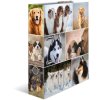 Herma Motif Folder a4 Animali - Cani
