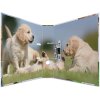Herma Motif Folder a4 Animali - Cani