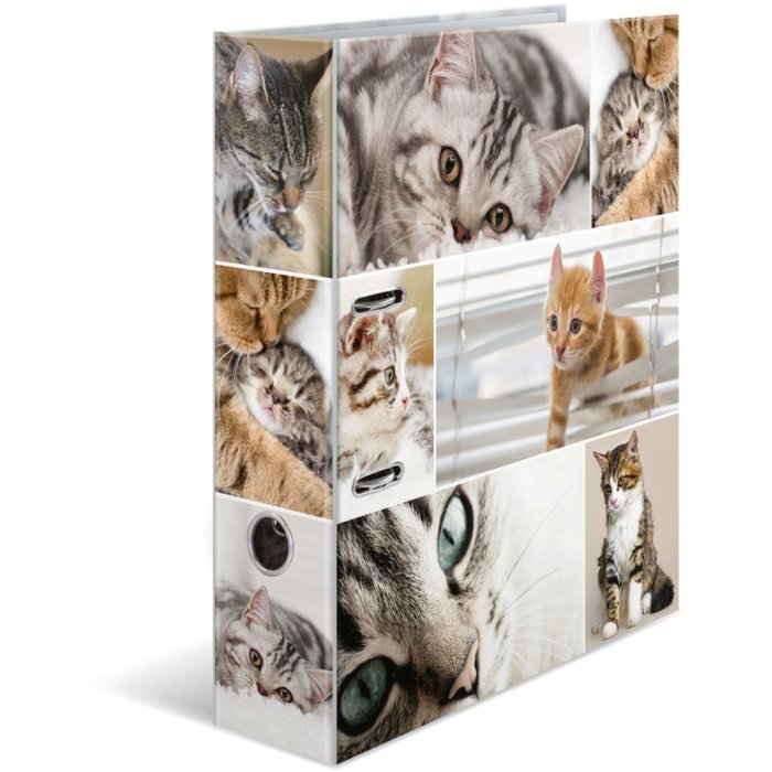 Herma Motif Folder a4 Animali - Gatti