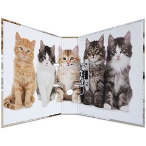 Herma Motif Folder a4 Animali - Gatti