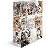 Herma Motif Folder a4 Animali - Gatti