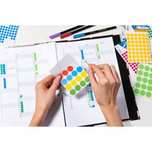 Etichette multiuso blu Ø 12 mm carta rotonda opaca 240 pz.