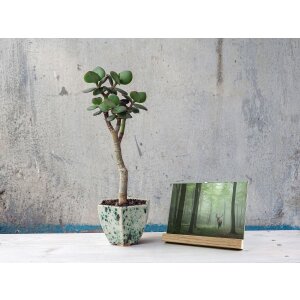 Cornice Simplicity 10x15 cm natura