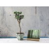 Cornice Simplicity 10x15 cm natura