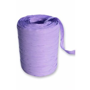 Nastro regalo Raphia 13mmx100m Rotolo sintetico