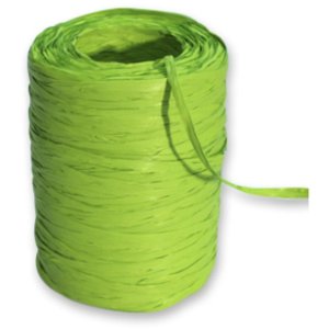 Nastro regalo Raphia 13mmx100m Rotolo sintetico