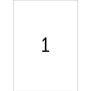 Etichette A4 verde 210x297 mm carta opaca 100 pz.