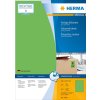 Etichette A4 verde 210x297 mm carta opaca 100 pz.