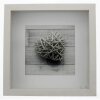 Cornice per ritratto Scala, bianco, 23 x 23 cm