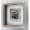 Cornice per ritratti Scala, tortora, 23 x 23 cm