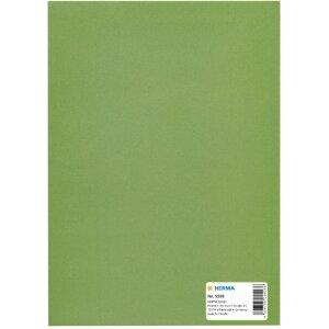 Salvacarte A5 verde erba